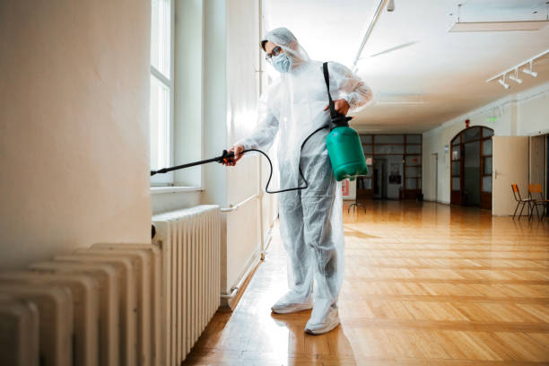 Professional Pest Control in Mount Pleasant, TX